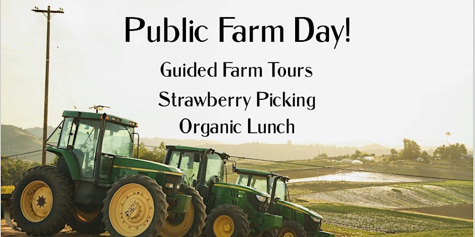 Public Farm Day + Strawberry Picking – J.R. Organics