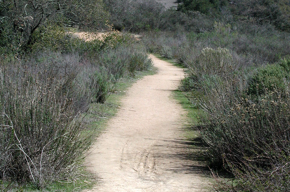 Hike With a Ranger – Lake Wohlford